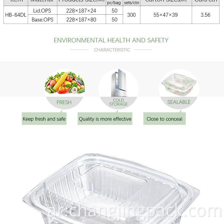 disposable salad box